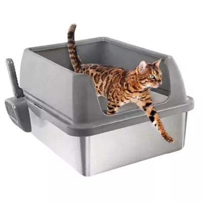 All For Paws High Sided Cat Litter Box W/ Hanging Litter Scoop, XL Size Suitable For All Breeds - Image 1