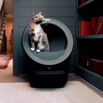 Whisker Litter-Robot® 5 Pro with Core Accessories Bundle - Image 9