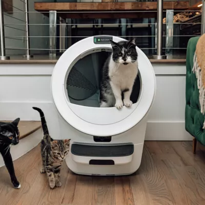 Whisker Litter Robot® 5 Pro Starter Bundle, Includes Liners, Mat, OdorTrap, Litter & Waranty - Image 9