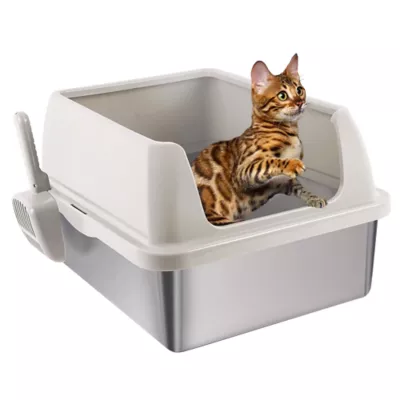 All For Paws High Sided Cat Litter Box W/ Hanging Litter Scoop, XL Size Suitable For All Breeds - Image 1