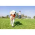 Chuckit! Flying Duck Large Dog Toy image thumbnail 4