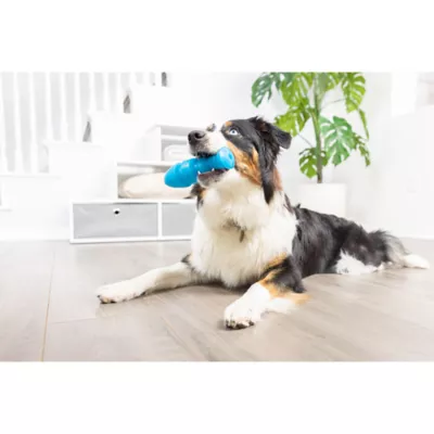 Chuckit! BONZ Glow Treat Fish Salmon Scented Medium Dog Toy - Image 4