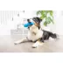 Chuckit! BONZ Glow Treat Fish Salmon Scented Medium Dog Toy image thumbnail 4