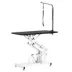 PawHut Pet Grooming Table, Height Adjustable Dog Grooming Table with Arm, Noose and Non-Slip image thumbnail 1