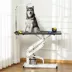 PawHut Pet Grooming Table, Height Adjustable Dog Grooming Table with Arm, Noose and Non-Slip image thumbnail 2