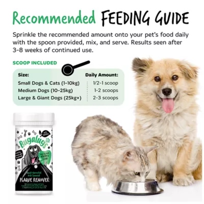 Bugalugs Dental Plaque Removal Powder for Dogs, Made with Irish Seaweed, 2.65 oz or 7.05 oz - Image 2