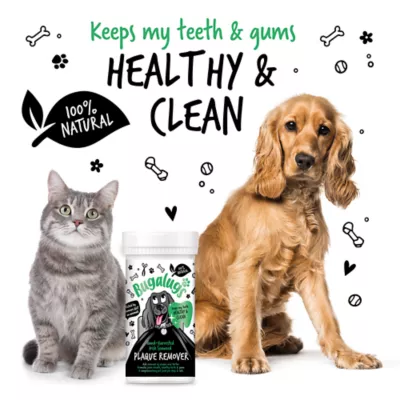 Bugalugs Dental Plaque Removal Powder for Dogs, Made with Irish Seaweed, 2.65 oz or 7.05 oz - Image 3