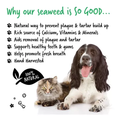 Bugalugs Dental Plaque Removal Powder for Dogs, Made with Irish Seaweed, 2.65 oz or 7.05 oz - Image 4