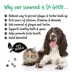 Bugalugs Dental Plaque Removal Powder for Dogs, Made with Irish Seaweed, 2.65 oz or 7.05 oz image thumbnail 4