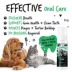 Bugalugs Dental Care Foam for Dogs & Cats, Plaque Removal, Spearmint, 6.67 fl oz image thumbnail 2