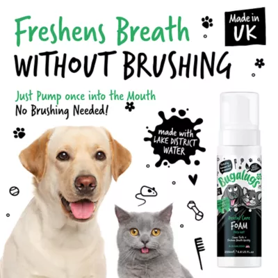 Bugalugs Dental Care Foam for Dogs & Cats, Plaque Removal, Spearmint, 6.67 fl oz - Image 3