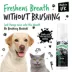 Bugalugs Dental Care Foam for Dogs & Cats, Plaque Removal, Spearmint, 6.67 fl oz image thumbnail 3