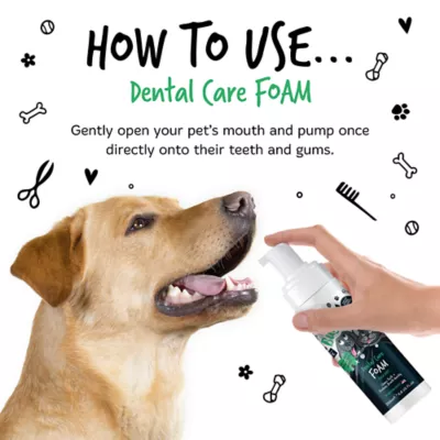 Bugalugs Dental Care Foam for Dogs & Cats, Plaque Removal, Spearmint, 6.67 fl oz - Image 4