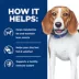 Hill's Prescription Diet r/d Weight Loss Dog Wet Food - Chicken image thumbnail 6
