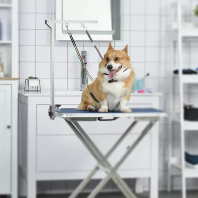 PawHut Adjustable Pet Grooming Arm, with Clamp, Haunch Holders & Grooming Loop - Sliver - Image 2
