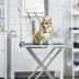 PawHut Adjustable Pet Grooming Arm, with Clamp, Haunch Holders & Grooming Loop - Sliver image thumbnail 2