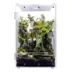 HerpCult Acrylic Terrarium Front Opening Large - 10" x 10" x 16" image thumbnail 1