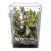 HerpCult Acrylic Terrarium Front Opening Large - 10" x 10" x 16" image thumbnail 3