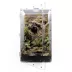 HerpCult Acrylic Terrarium Front Opening Large - 10" x 10" x 16" image thumbnail 4