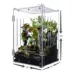 HerpCult Acrylic Terrarium Front Opening Large - 10" x 10" x 16" image thumbnail 5