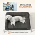 PawHut Elevated Dog Bed, Portable Raised Dog Cot with Breathable Mesh, Removable and Water-Resistant image thumbnail 5