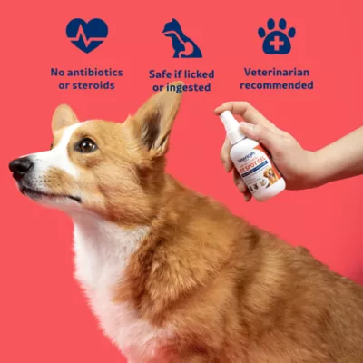 Vetericyn Plus Antimicrobial Hot Spot Spray for Dogs, Cats & Small Pets, 3-fl oz Bottle - Image 3