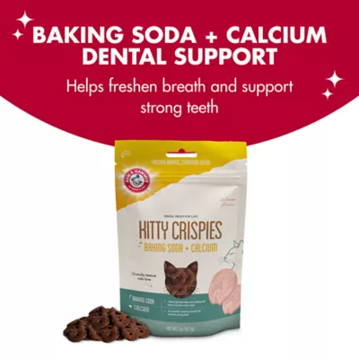 Arm & Hammer Kitty Crispies Cat Dental Treats, Salmon Flavor, 2 oz - Image 5