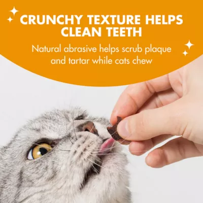 Arm & Hammer Kitty Crispies Cat Dental Treats, Salmon Flavor, 2 oz - Image 7