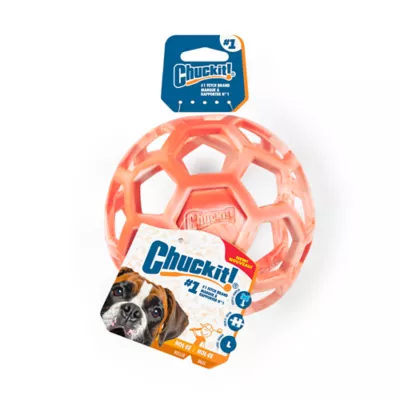 Chuckit! Holee Roller Dog Toy Color & Size Vary - Image 1