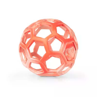 Chuckit! Holee Roller Dog Toy Color & Size Vary - Image 2