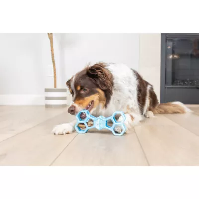 Chuckit! Holee Bone Dog Toy Color & Size Vary - Image 3