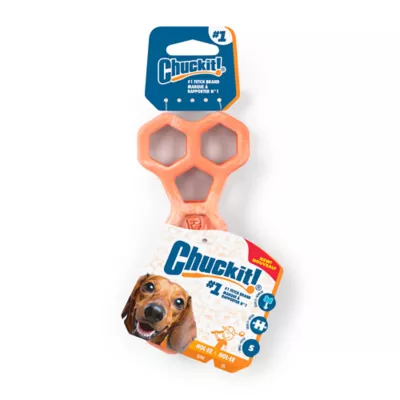 Chuckit! Holee Bone Dog Toy Color & Size Vary - Image 1