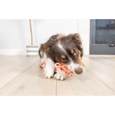 Chuckit! Holee Bone Dog Toy Color & Size Vary - Image 3