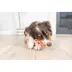 Chuckit! Holee Bone Dog Toy Color & Size Vary image thumbnail 3
