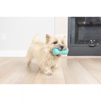 Chuckit! Wool Bone Dog Toy Small - Image 3