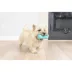 Chuckit! Wool Bone Dog Toy Small image thumbnail 3