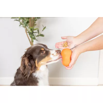 Chuckit! Tumble Teez Dog Toy Orange Medium - Image 4