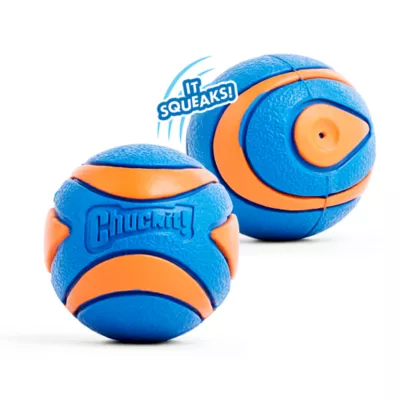 Chuckit! Ultra Squeaker Rubber Ball Fetch Dog Toy, Medium 2 Pack - Image 3