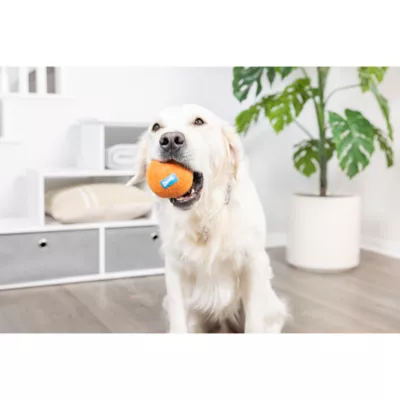 Chuckit! Wool Ball Dog Toy Orange X Large - Image 3