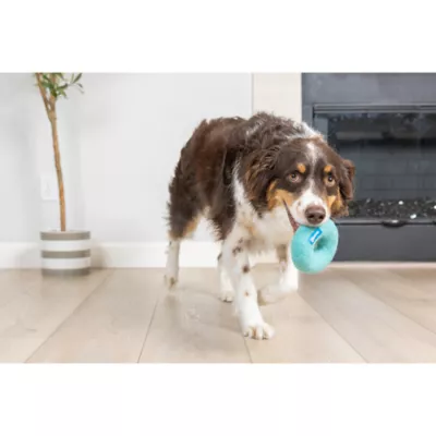 Chuckit! Wool Ring Dog Toy Blue Medium - Image 3