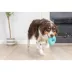 Chuckit! Wool Ring Dog Toy Blue Medium image thumbnail 3