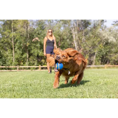 Chuckit! Ultra Squeaker Ball X Larage - Image 4
