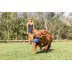 Chuckit! Ultra Squeaker Ball X Larage image thumbnail 4