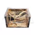 HerpCult Clear Top Acrylic Terrarium XL - 12" x 16" x 10" image thumbnail 3