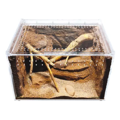 HerpCult Clear Top Acrylic Terrarium XL - 12" x 16" x 10" - Image 4