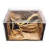 HerpCult Clear Top Acrylic Terrarium XL - 12" x 16" x 10" image thumbnail 4