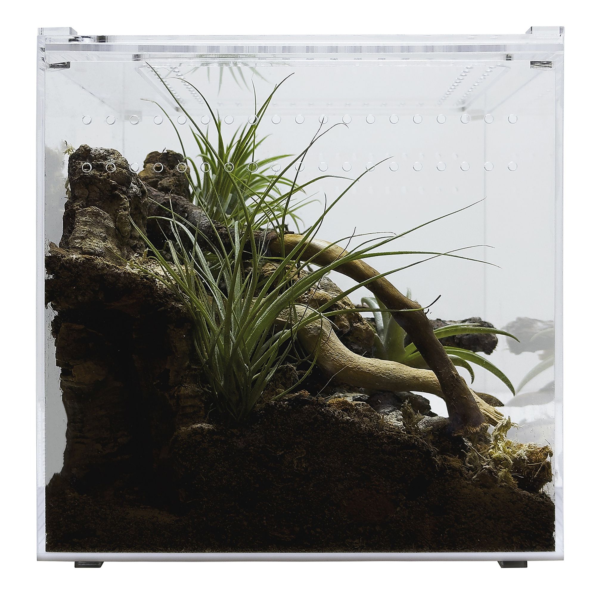 HerpCult Acrylic Terrarium Medium - 8" x 8" x 8" - thumbnail 4
