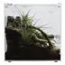 HerpCult Acrylic Terrarium Medium - 8" x 8" x 8" image thumbnail 4