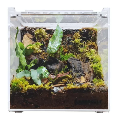 HerpCult Flat Clear Top Acrylic Terrarium Medium - 8" x 6" x 6" - Image 1