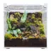 HerpCult Flat Clear Top Acrylic Terrarium Medium - 8" x 6" x 6" image thumbnail 1